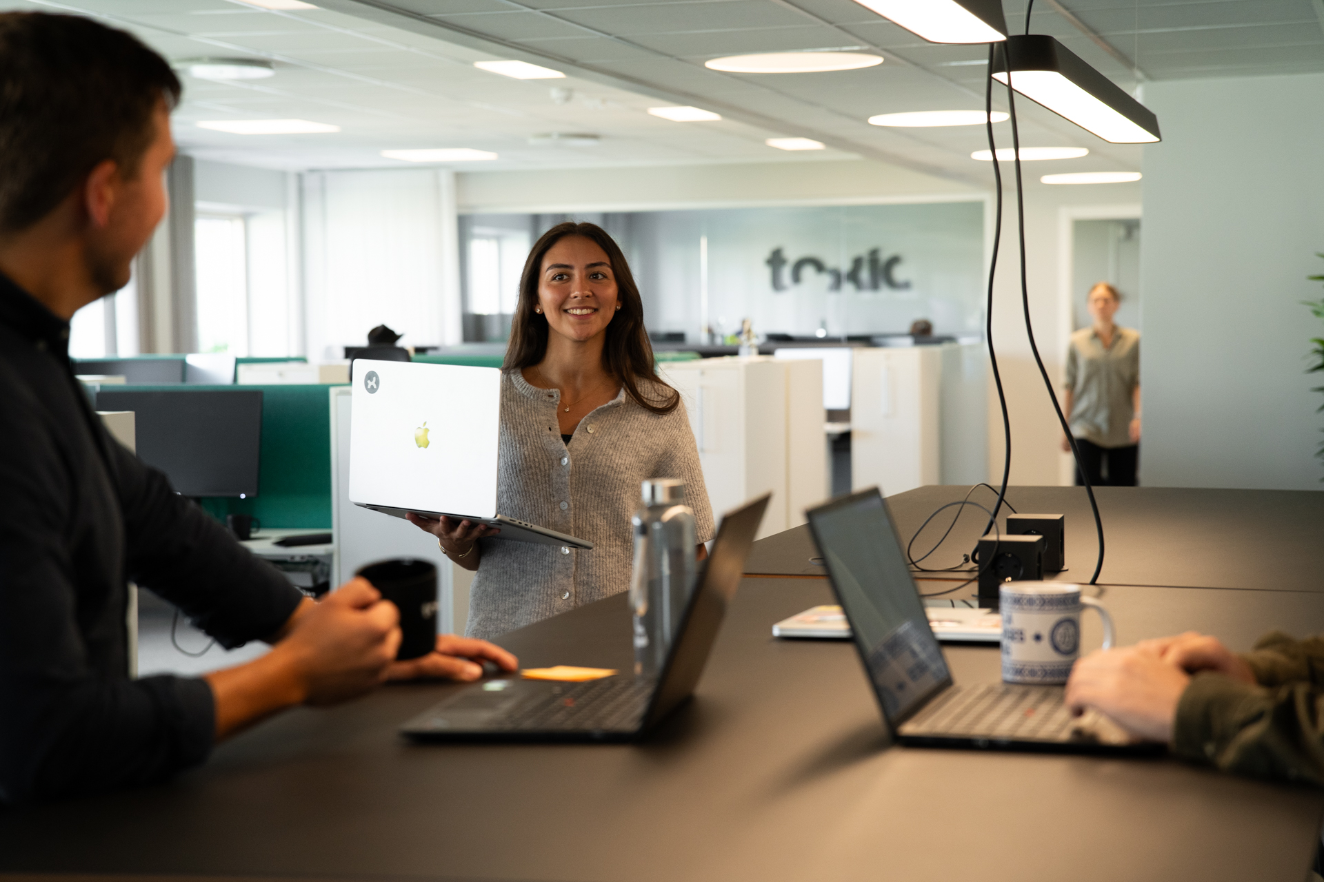 Tillgänglighetsanalys från Toxic